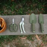 Essential Gardening Tools Every Gardener Should Have - Keralam Chronicles