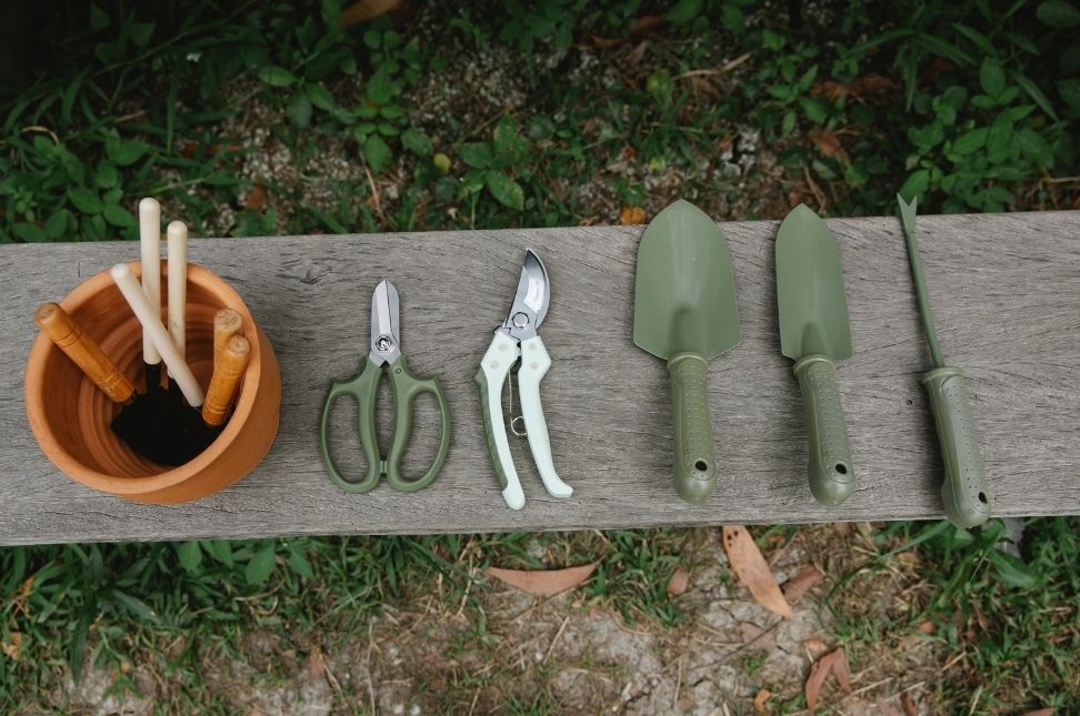 10 Essential Gardening Tools Every Gardener Should Have