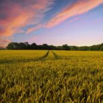 The Declining Interest in Farming | Kerala Chronicles | Kerala Farming