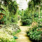 Garden Layout - How to Plan Your Layout