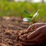 soil types and soil health - Keralam Chronicles