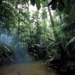Adventure in the Amazon Rainforest - Exploring the Rainforest | Keralam Chronicles