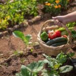 Gardening as Exercise Staying Active Outdoors - Keralam Chronicles