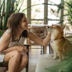 The Importance of Regular Vaccinations for Pets - Keralam Chronicles