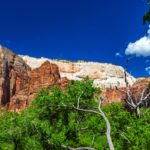 Exploring National Parks in the US and UK