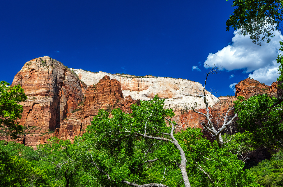 Exploring National Parks in the US and UK