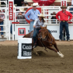 Exploring the Calgary Stampede A Canadian Tradition