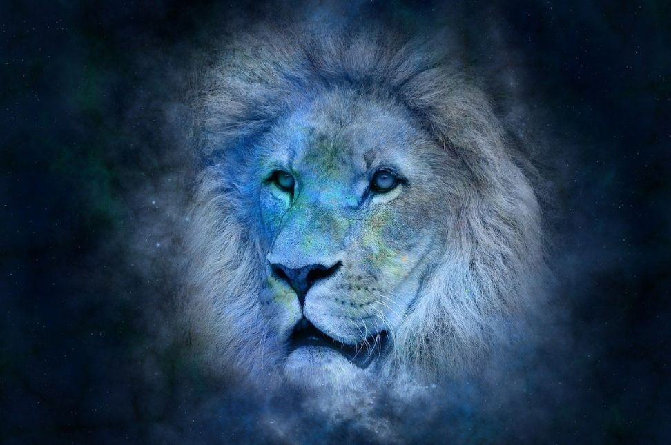 Leo Zodiac Sign and its personality traits