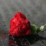 Memorial Day meaning