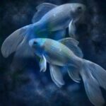 Pisces Zodiac Sign and its personality traits