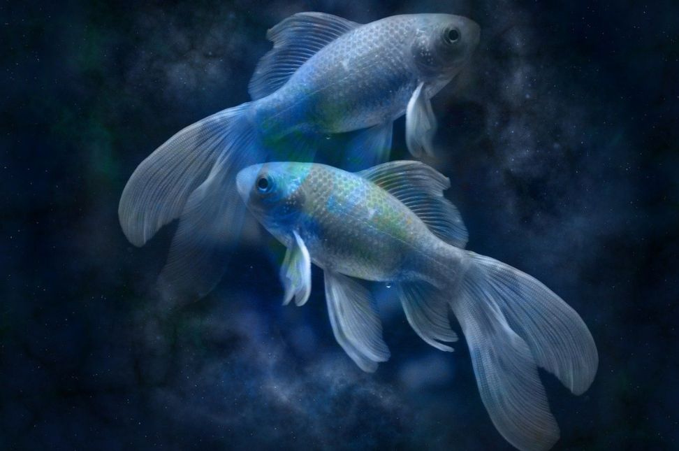 Pisces Zodiac Sign and its personality traits