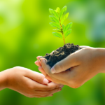 Significance of World Environment Day 2024