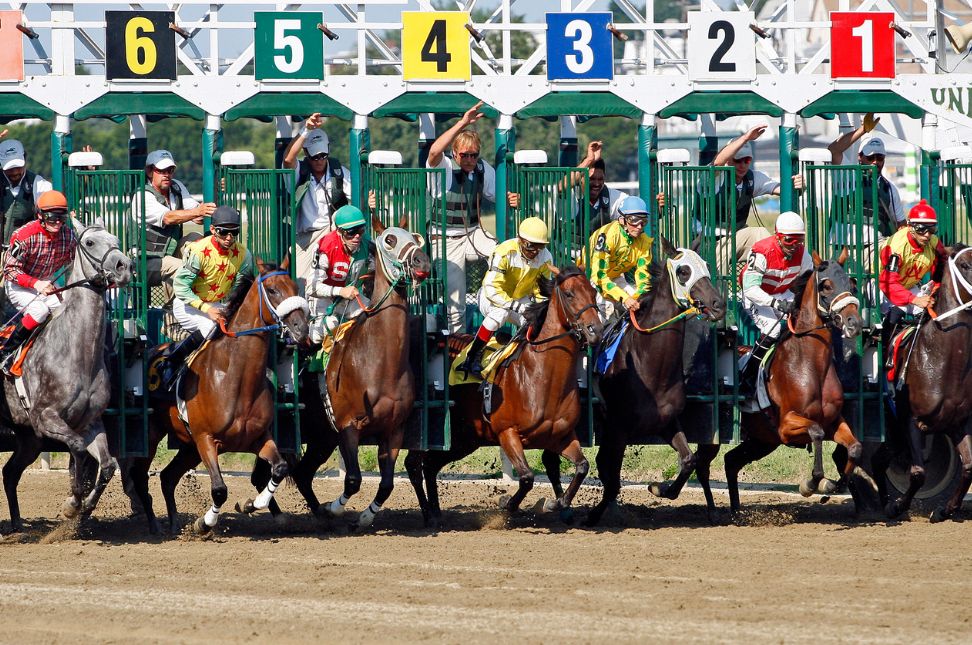 The Kentucky Derby: A Guide to the Ultimate Horse Racing Event