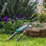 Top 10 Low-Maintenance Plants for Busy Gardeners