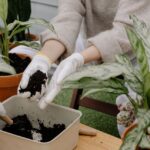 Ultimate Guide to Container Gardening