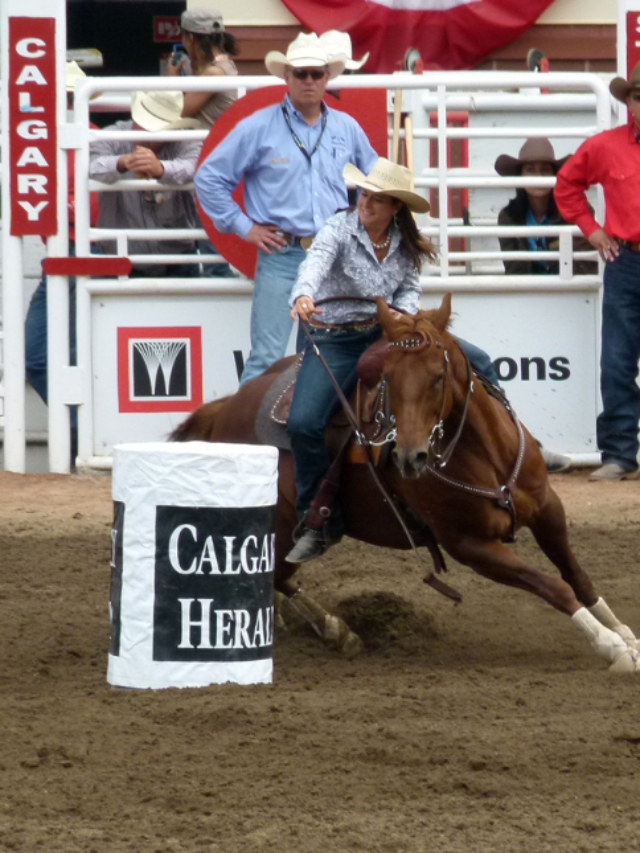 Exploring the Calgary Stampede: A Canadian Tradition