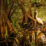 how to create a wildlife habitat garden