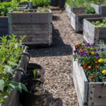 the benefits of raised bed gardening