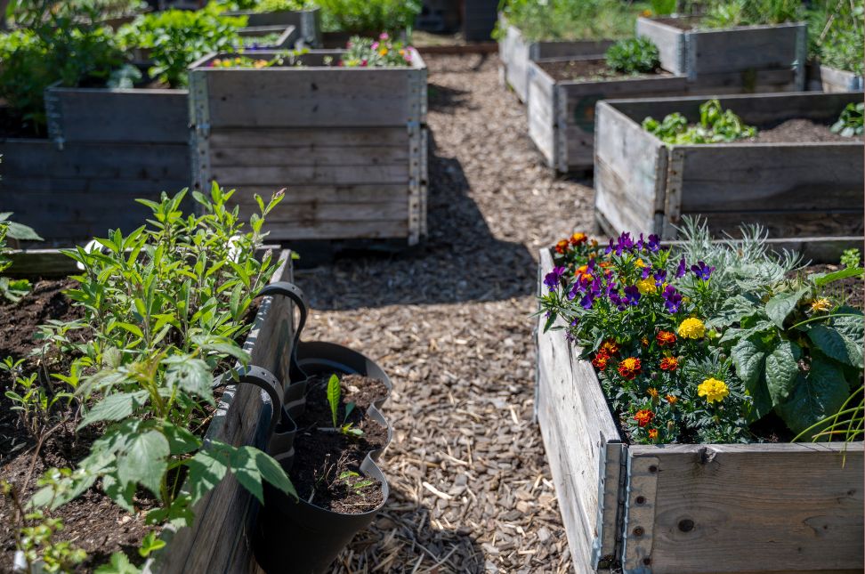 The Benefits of Raised Bed Gardening