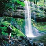 Australian Wildlife and Nature Tours - Keralam Chronicles