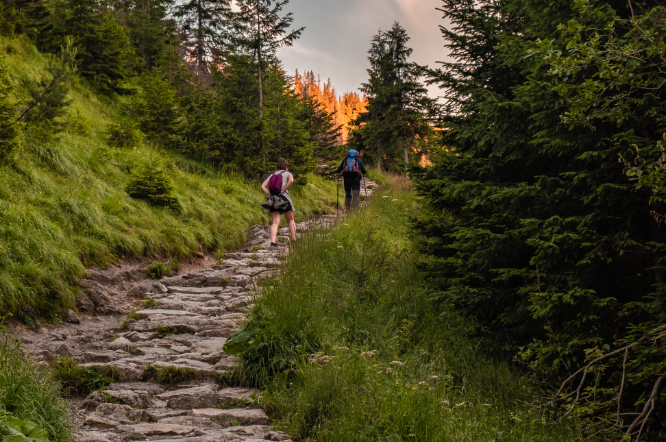 Hiking Trails in the Swiss Alps - Keralam Chronicles