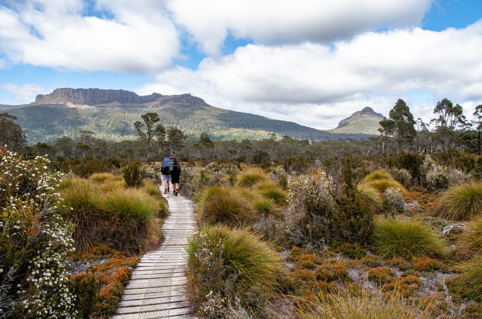 Exploring the Wonders of Tasmania