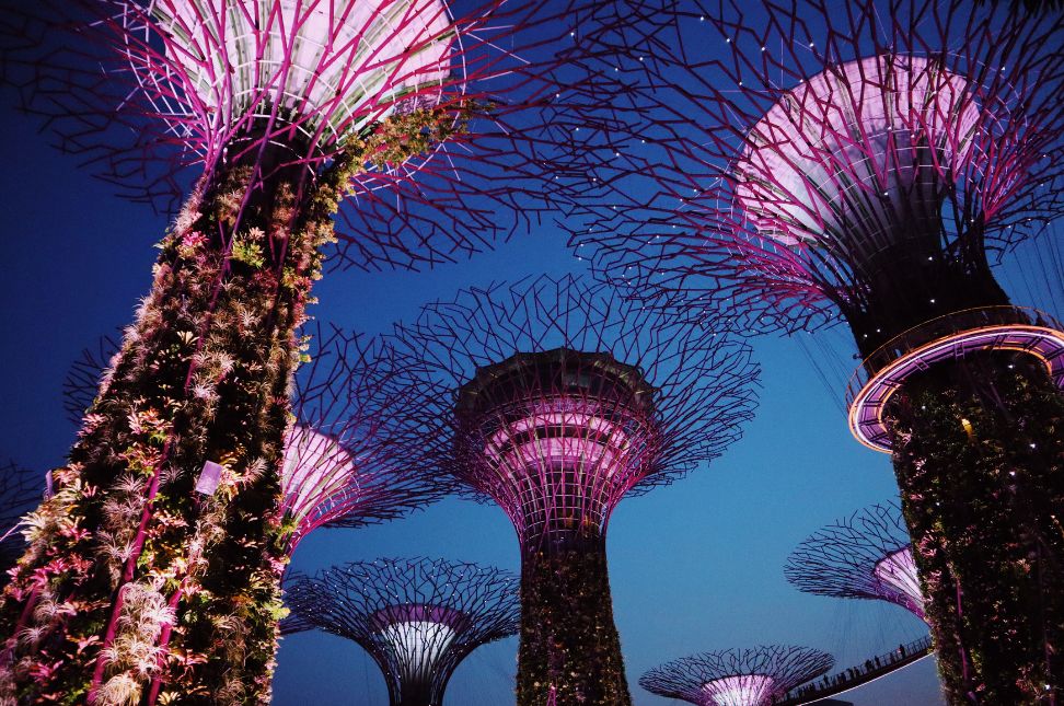 Gardens by the Bay Singapore A Must-Visit Attraction - Keralam Chronicles