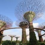 Gardens by the Bay Singapore A Must-Visit Attraction - Keralam Chronicles