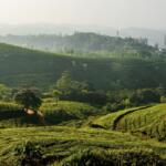 Kerala Hill Stations - Hill Stations in Kerala - Keralam Chronicles