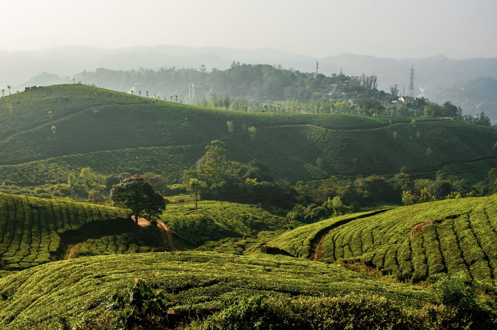 Kerala Hill Stations - Hill Stations in Kerala - Keralam Chronicles