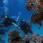 Scuba Diving in Lakshadweep A Dive into Paradise - Keralam Chronicles