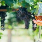 Wine Regions in Australia - Keralam Chronicles