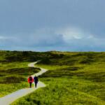 benefits of walking daily - Keralam Chronicles