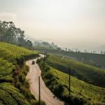 Plan a trip to Kerala - Keralam Chronicles | Kerala Tour Plan