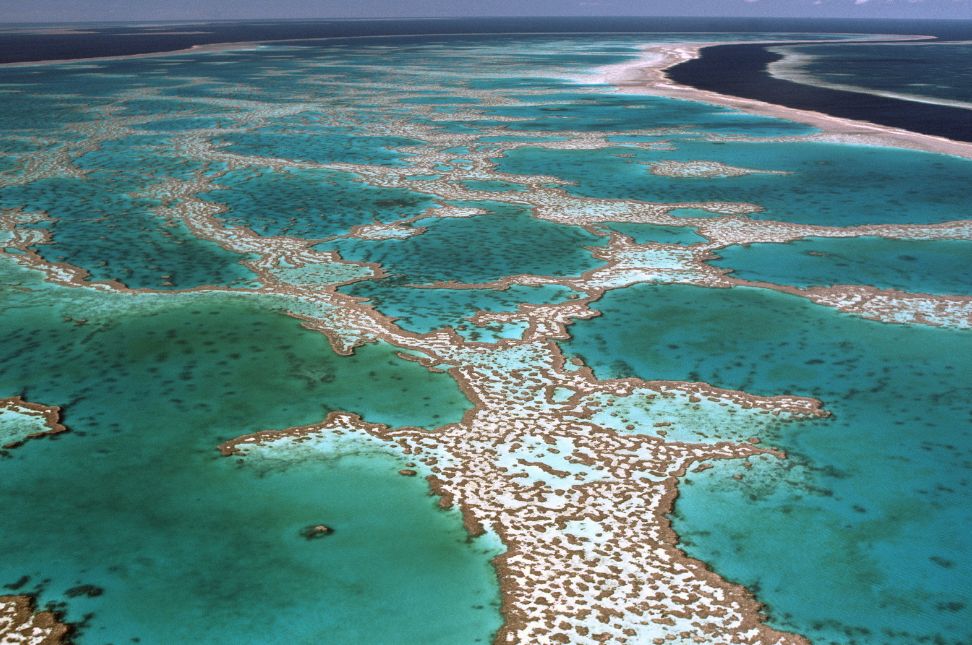 Exploring the Great Barrier Reef - Keralam Chronicles