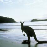Top 10 Beaches to Visit in Australia - Keralam Chronicles