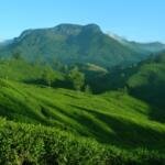 Munnar Hill Station - Keralam Chronicles Places to Visit in Kerala