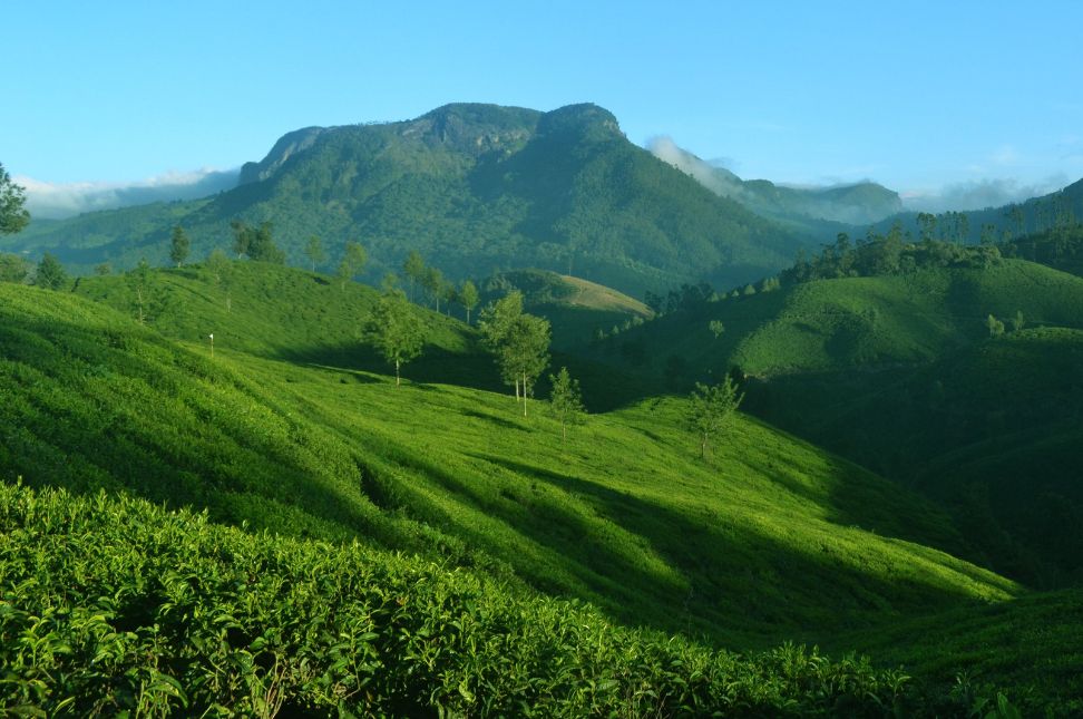 Munnar Hill Station - Keralam Chronicles Places to Visit in Kerala