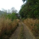 Silent Valley National Park - Keralam Chronicles | Places to Visit in Palakkad