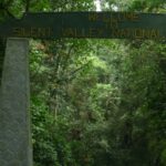 Silent Valley National Park - Keralam Chronicles | Palakkad Tourist Places