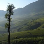 the best time to visit Munnar - Keralam Chronicles | Munnar Tour