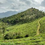 the best time to visit Wayanad - Keralam Chronicles | Wayanad Tour