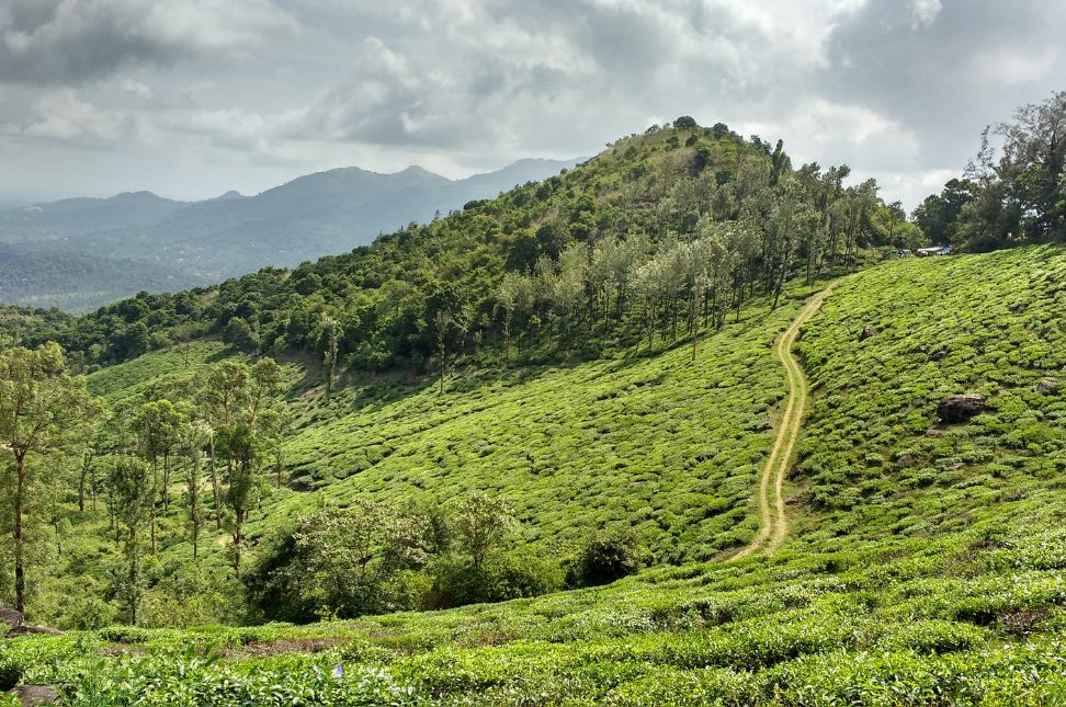 the best time to visit Wayanad - Keralam Chronicles | Wayanad Tour