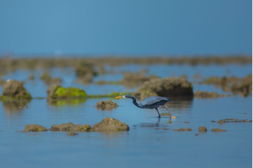 Exploring the Marine National Park in Gujarat