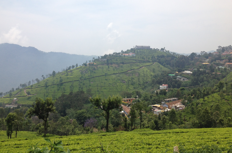 Ooty Hill Station Guide