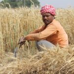 Punjab Cultural Festivals - Keralam Chronicles | Punjab Tourism