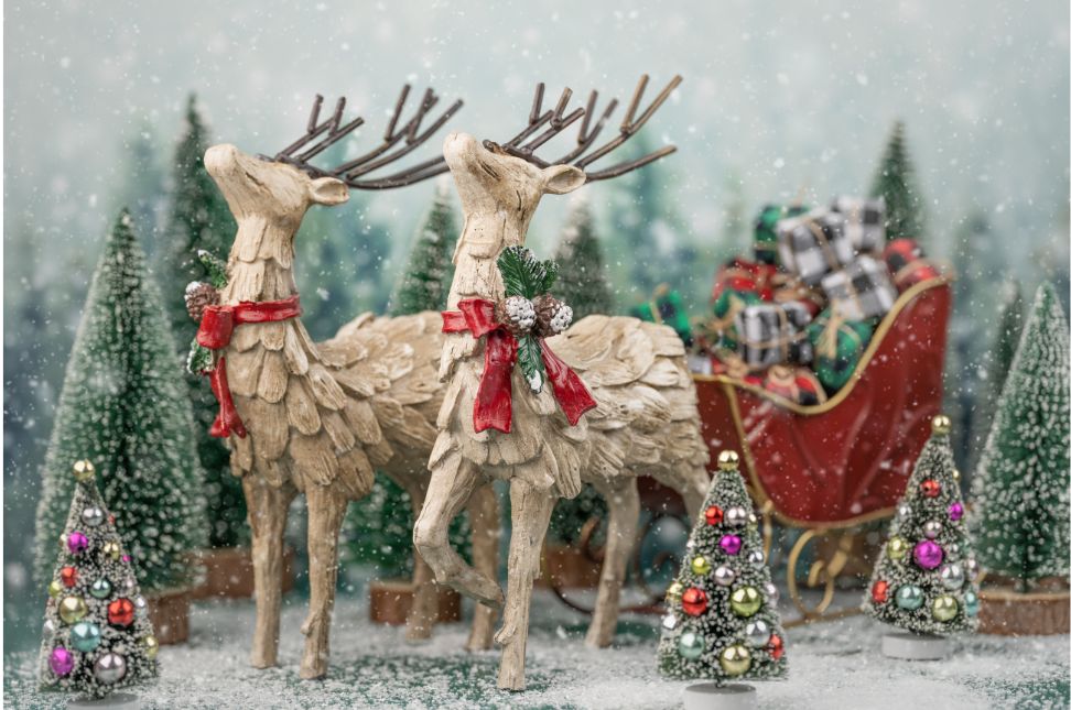 Best Winter Festivals & Events Around the World (Oct–Dec)