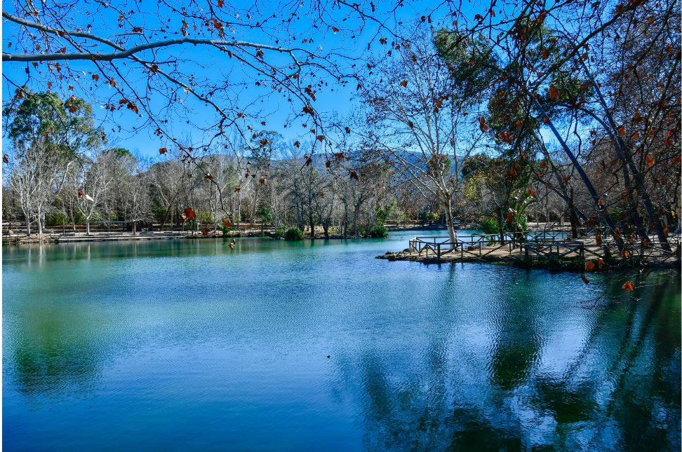 Top Winter Festivals and Food Experiences in Spain - Keralam Chronicles