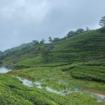 Places to Visit in Vagamon in 2026 - Keralam Chronicles