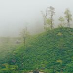 Hidden Hill Stations in South India